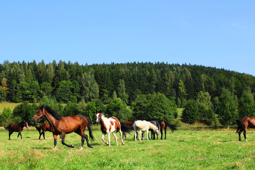 Villa la Val, Karkonosze Szarocin Esterno foto
