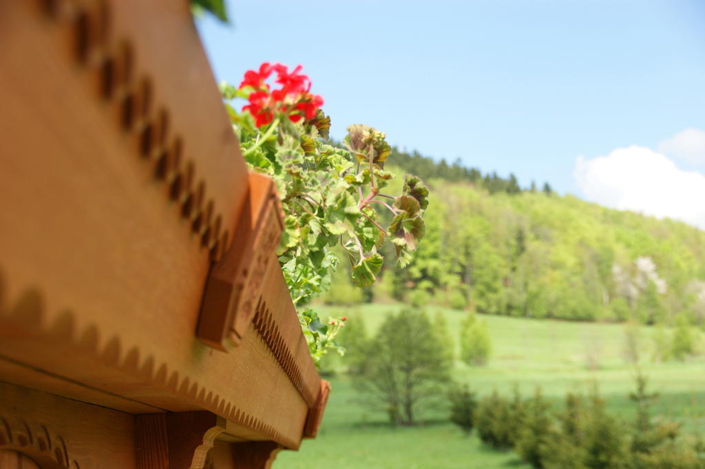 Villa la Val, Karkonosze Szarocin Esterno foto