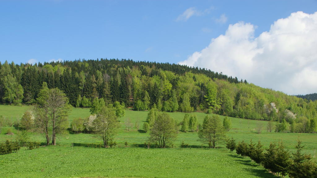 Villa la Val, Karkonosze Szarocin Esterno foto